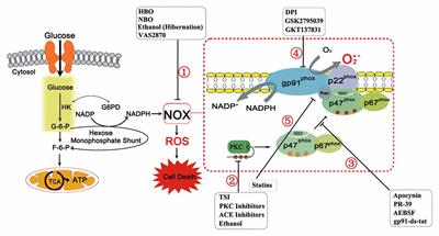 Как рассчитать nox